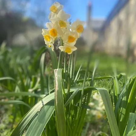 Prázdninový dům Logis Huit Clos Calme Et Romantique Proche Saumur *