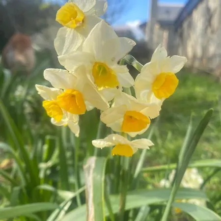Nyaraló Logis Huit Clos Calme Et Romantique Proche Saumur