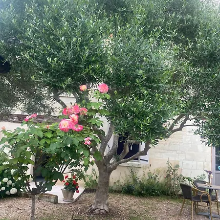 Logis Huit Clos Calme Et Romantique Proche Saumur Le Coudray-Macouard