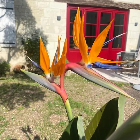 Nyaraló Logis Huit Clos Calme Et Romantique Proche Saumur Le Coudray-Macouard