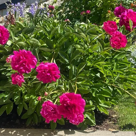 Logis Huit Clos Calme Et Romantique Proche Saumur *