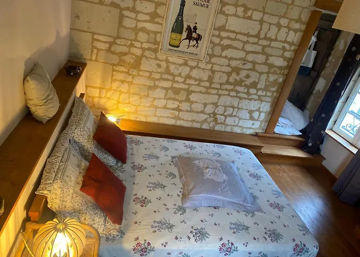 度假居 Logis Huit Clos Calme Et Romantique Proche Saumur *