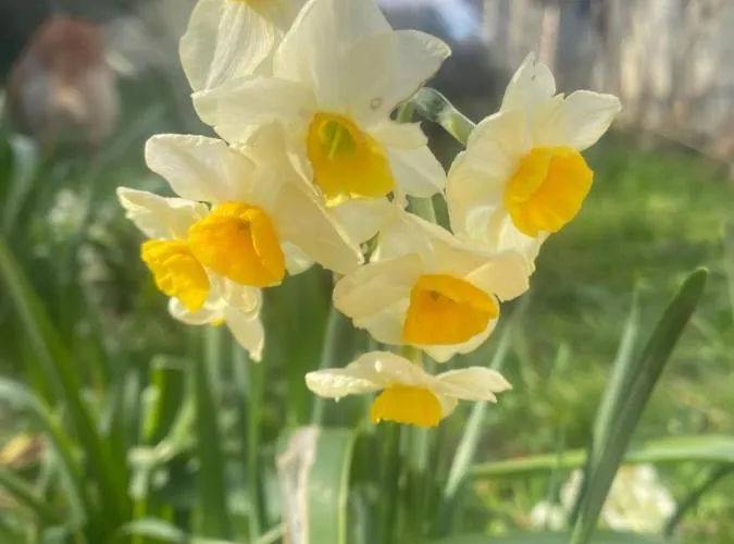 度假居 Logis Huit Clos Calme Et Romantique Proche Saumur