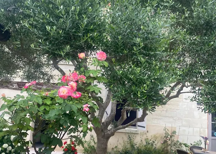 Logis Huit Clos Calme Et Romantique Proche Saumur 勒孔德拉玛科尔德