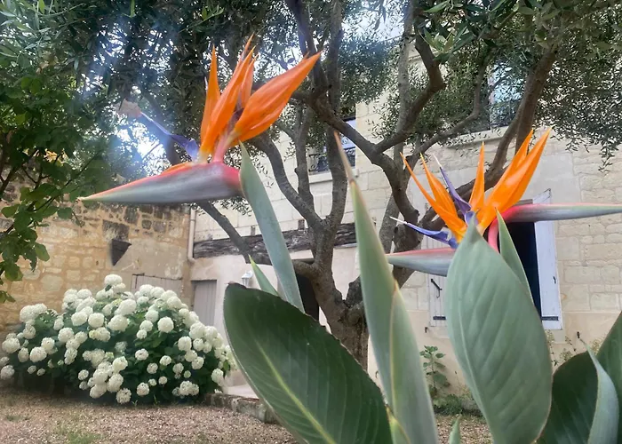 Logis Huit Clos Calme Et Romantique Proche Saumur * 勒孔德拉玛科尔德