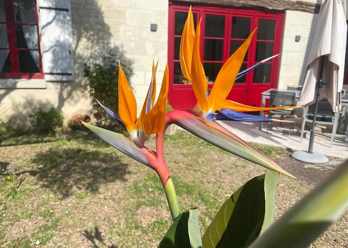 度假居 Logis Huit Clos Calme Et Romantique Proche Saumur 勒孔德拉玛科尔德