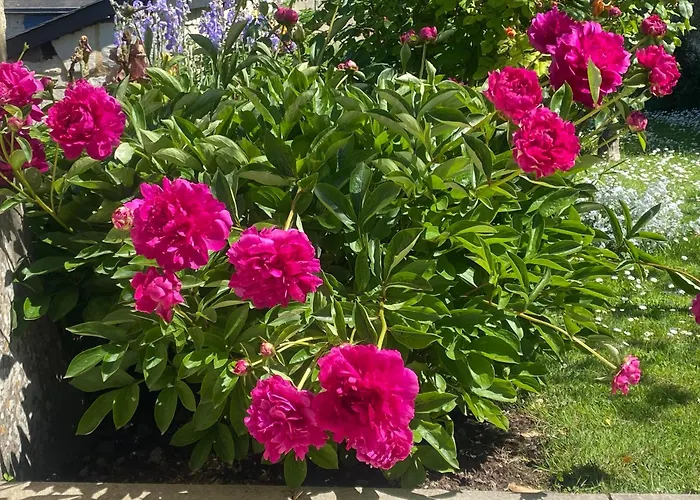 Logis Huit Clos Calme Et Romantique Proche Saumur *